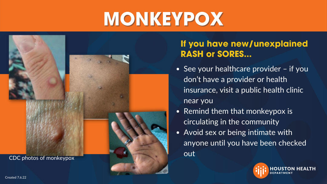 Monkey: description of rash or sores