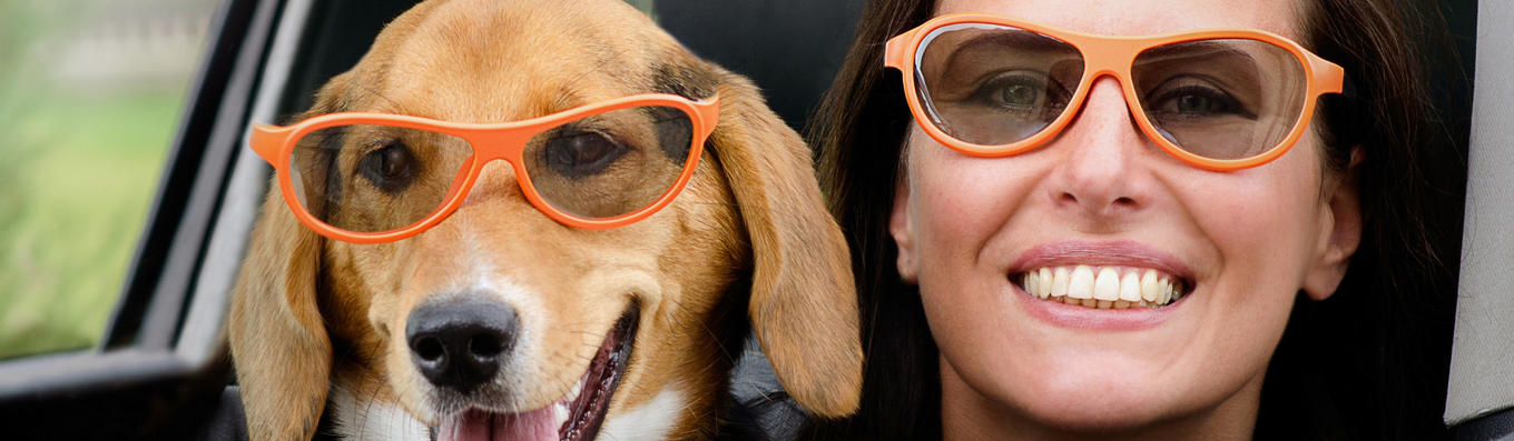 Mujer y perro en coche, con gafas de sol